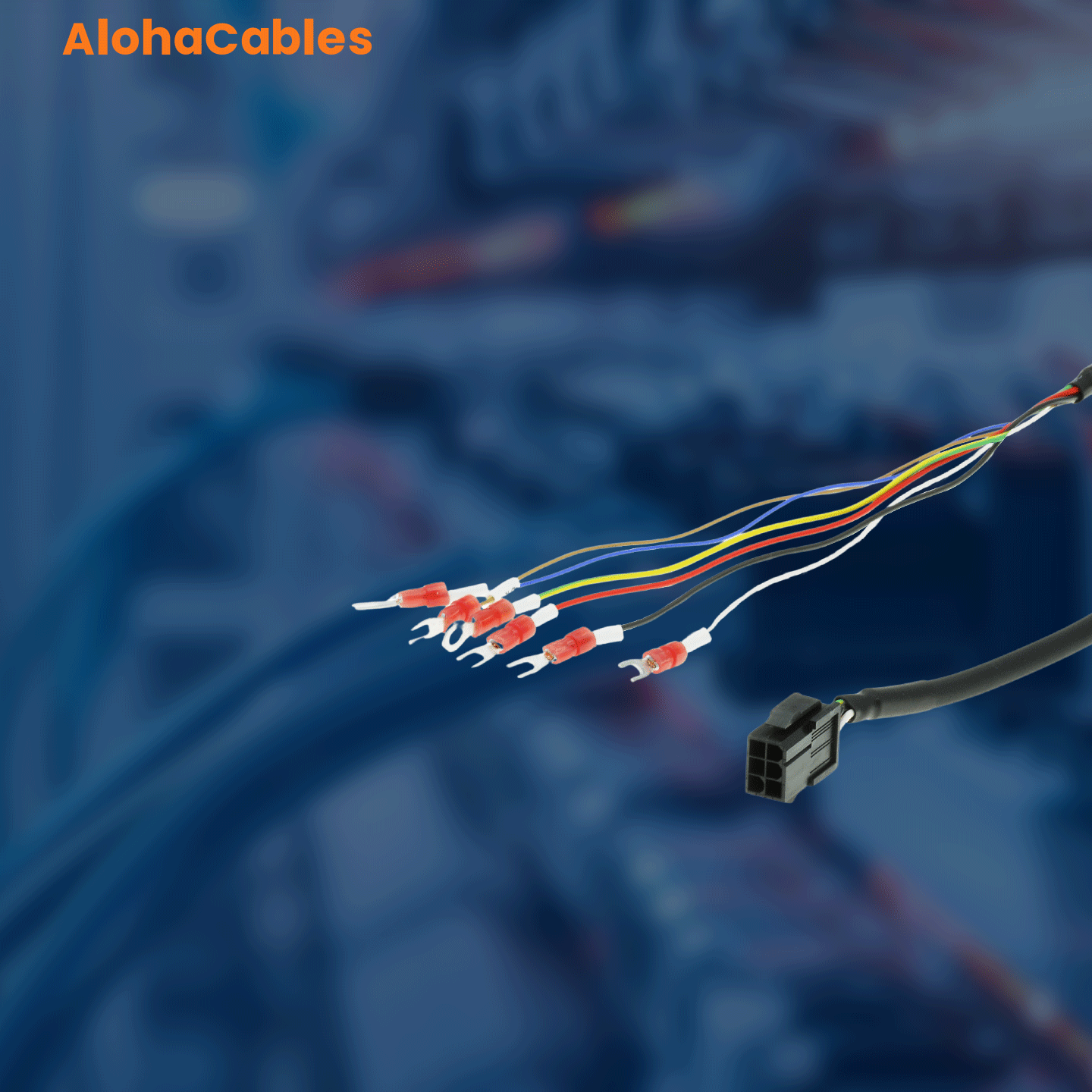 AC-S6-L-B00-80.0-TS