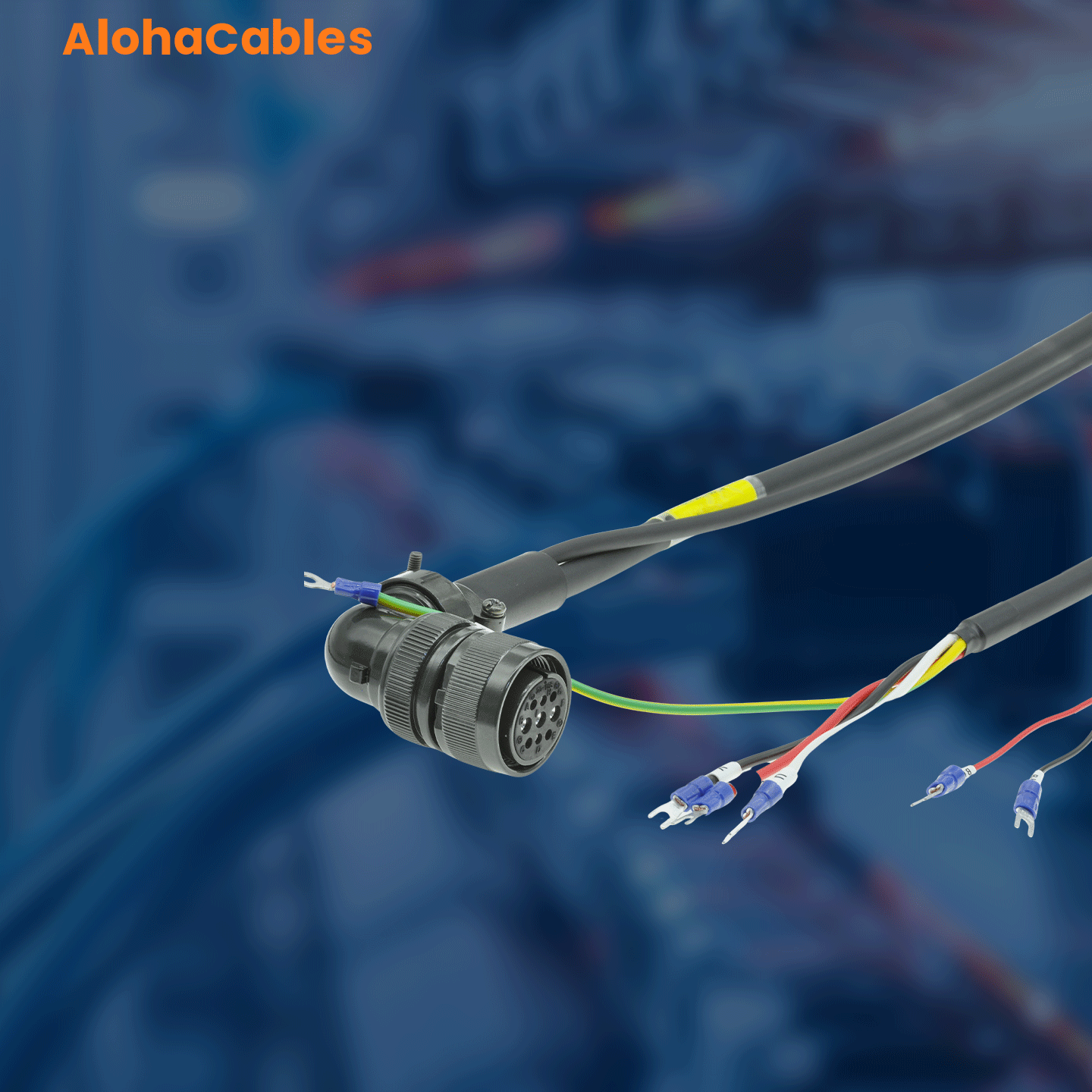 AC-S6-L-B11-76.0-T