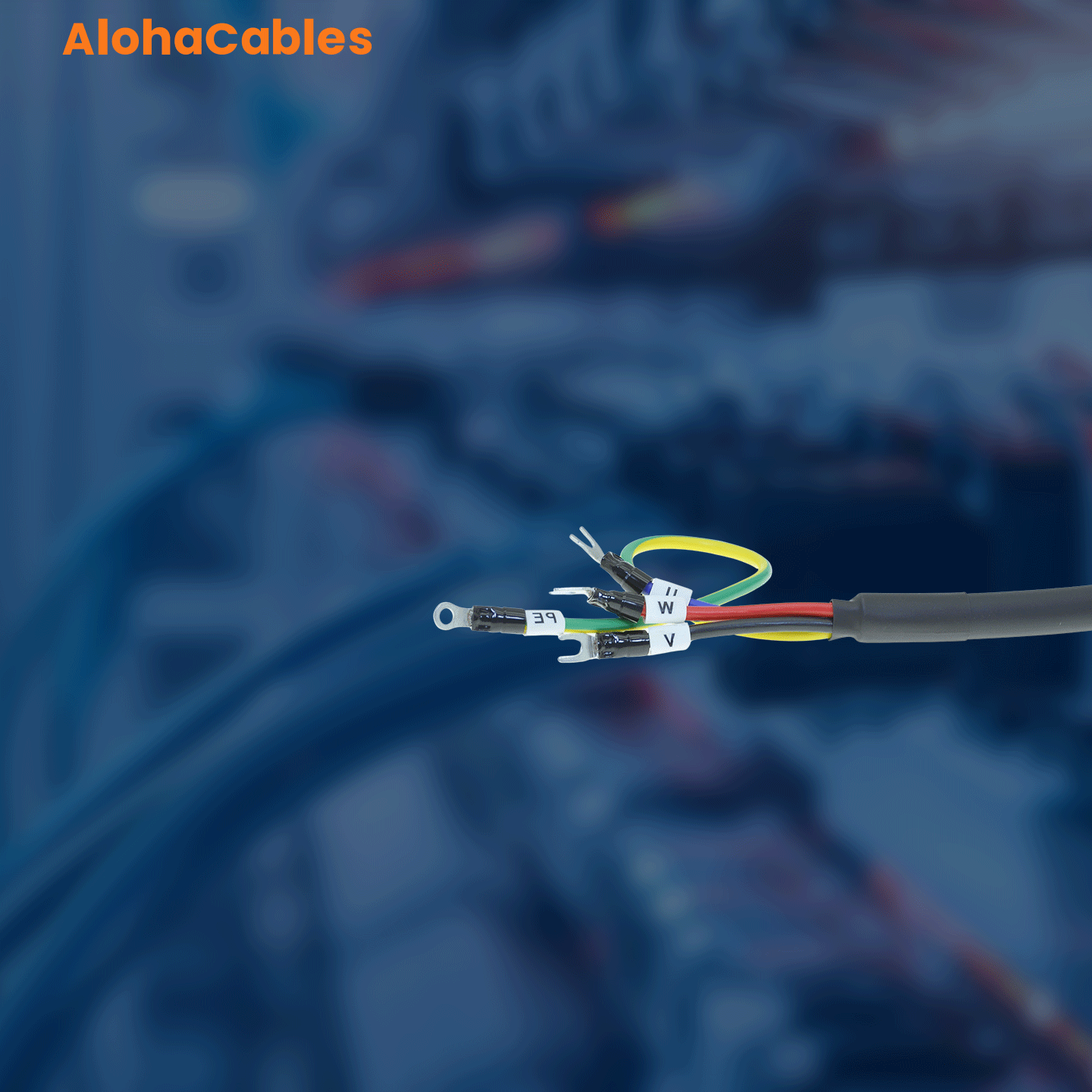 AC-S6-L-M22-79.0-TS