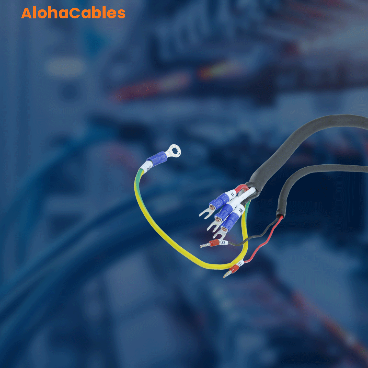 AC-S6-L-B011-78.0-T