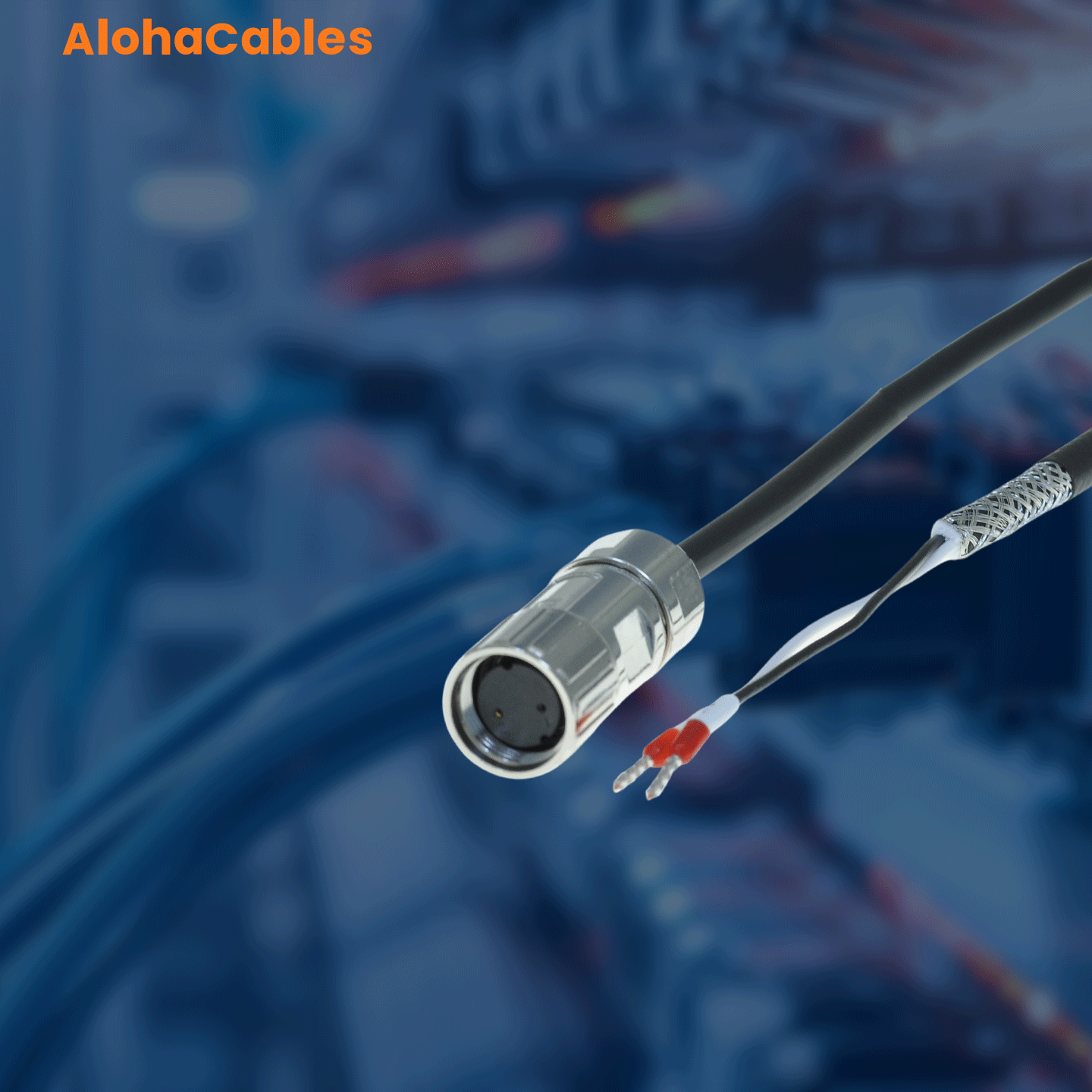 AC-6FX3002-5BL03-1JK0