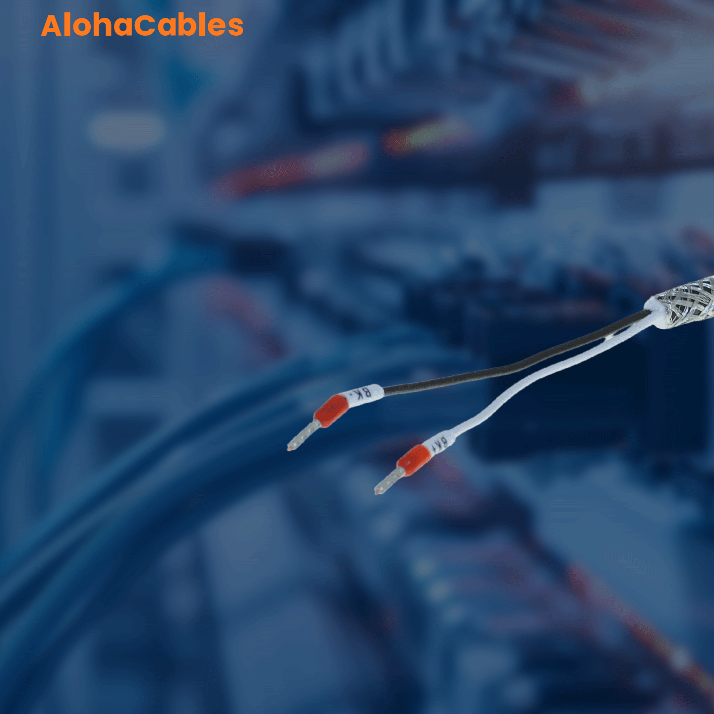 AC-6FX3002-5BL03-1KF0