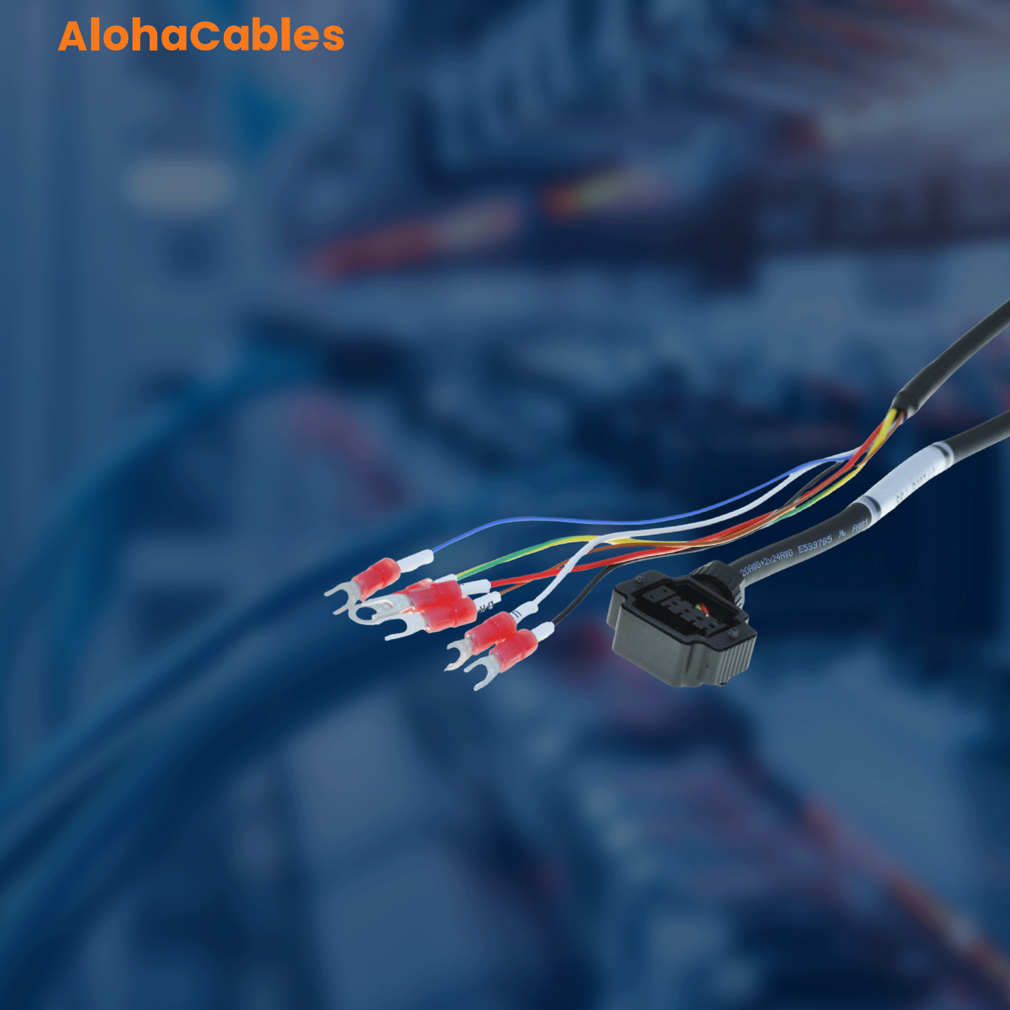 AC-S6-L-B007-79.0-TS